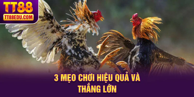 3 mẹo chơi hiệu quả và thắng lớn