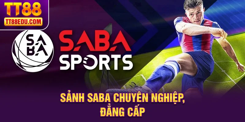 Sảnh SABA chuyên nghiệp, đẳng cấp