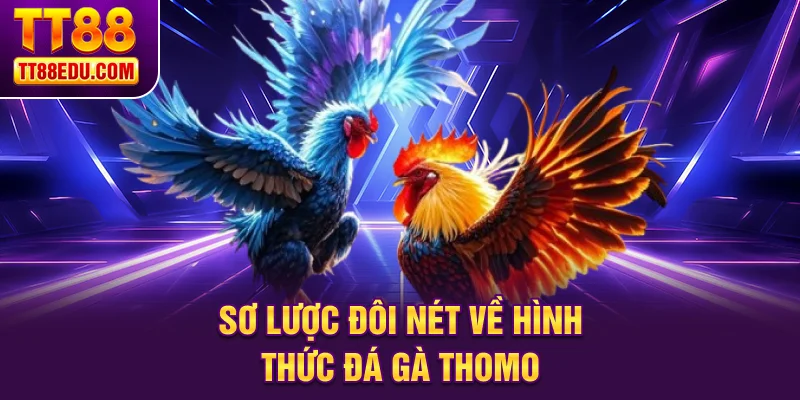 Sơ lược đôi nét về hình thức đá gà Thomo